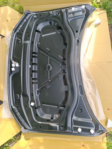 Купити 95X203 Polcar Капот