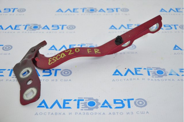 Петля капота, права Ford LJ6BS16800AB