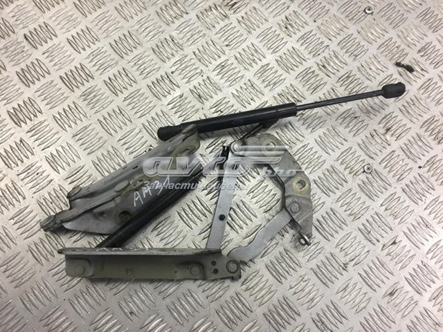 Петля капота, ліва Land Rover 6H5216801AC ціна, від 22.18 USD