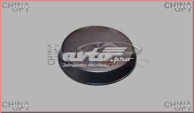  Chery A112901011