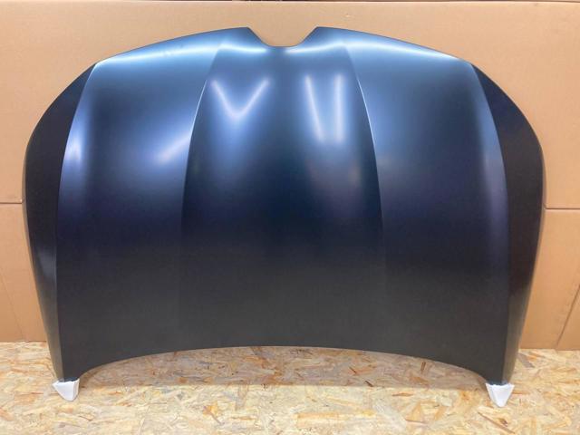 Купити 60C303 Polcar Капот
