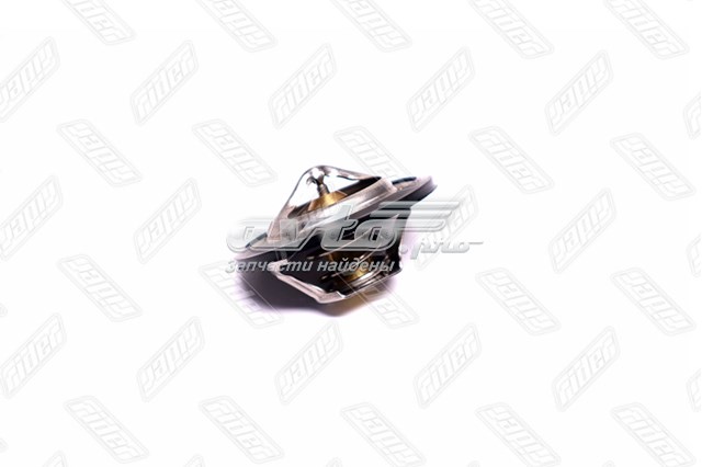 TC1081306100087 Rider Авто термостат