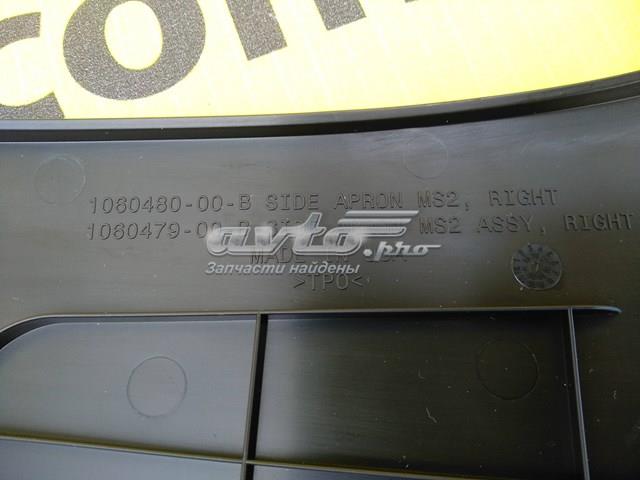 Купити 106047900B Tesla Накладка переднього правого крила