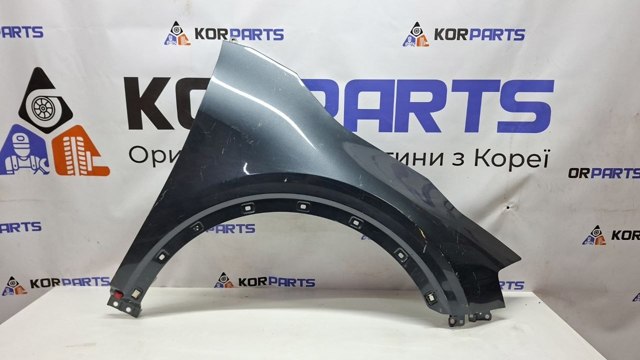 Переднє праве крило Hyundai/Kia 66320P1000