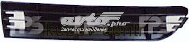 Решітка переднього бампера, права FPS FP0013996