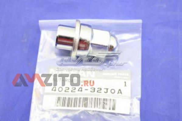  4022432J0A Nissan/Infiniti
