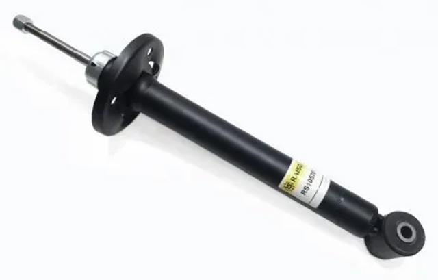 Амортизатор задній Raiso RS105781G ціна, від 22.75 USD
