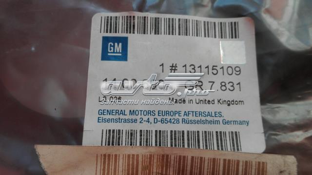 Купити 13115109 General Motors 