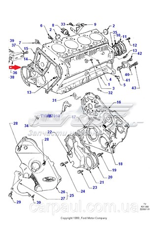 ES1569ARI DP Group Масляний насос двигуна