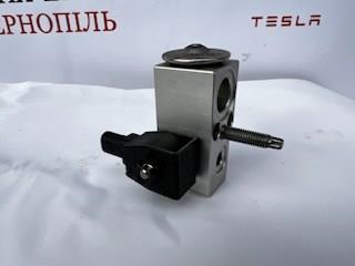 110187800A Tesla