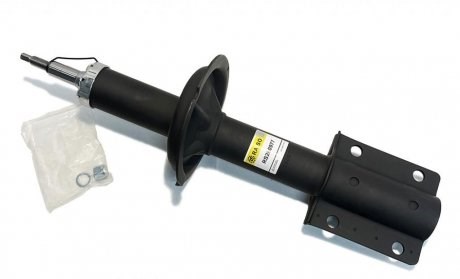 Амортизатори передні Raiso RS280977
