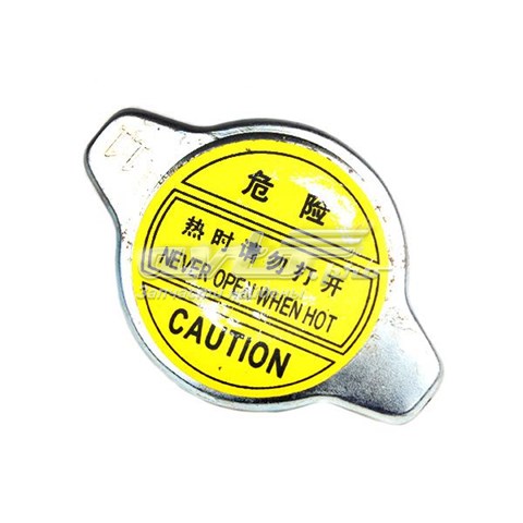Купити 1006686600 BYD 