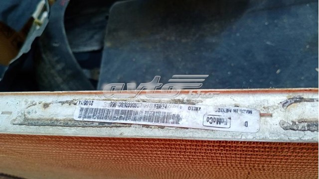 Купити DG938005 Ford Радіатор двигуна