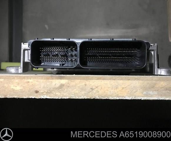 A6519008900 Mercedes 