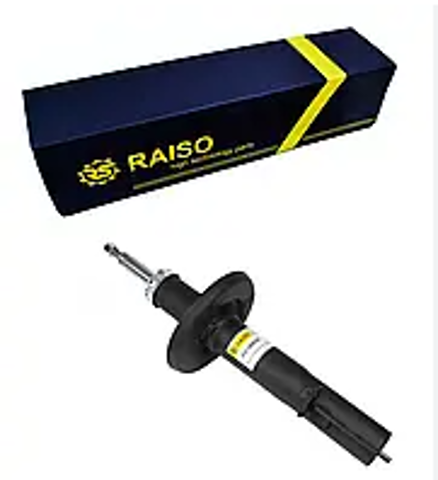RS100620 Raiso Стійка передня