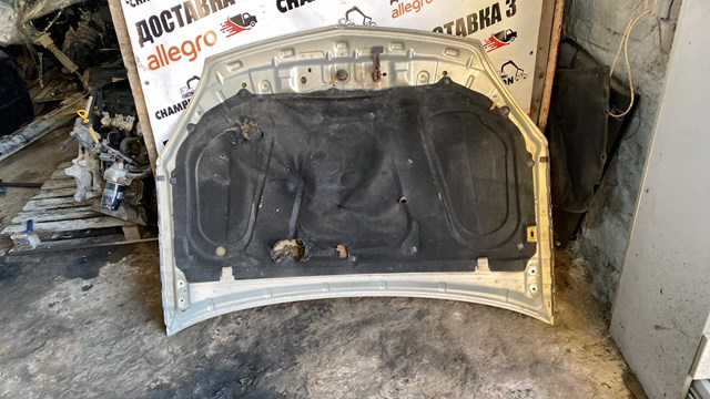 Купити 93189108 General Motors Капот