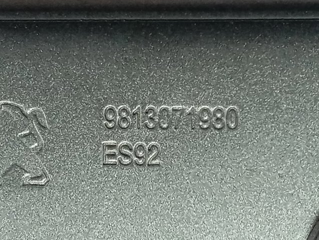 9813071980 Peugeot/Citroen Завіс капота, правий