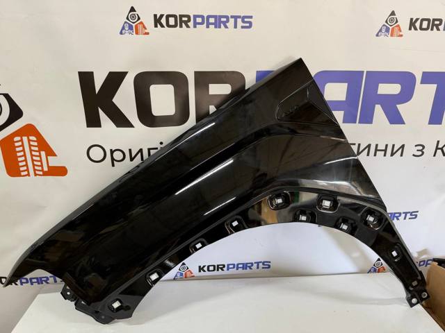 Купити 66310P6000 Hyundai/Kia 
