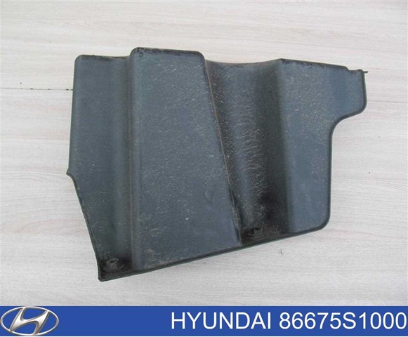 Купити 86675S1000 Hyundai/Kia 