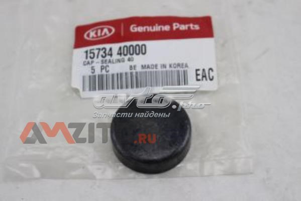 Заглушка блоку циліндрів 1573440000 Hyundai/Kia