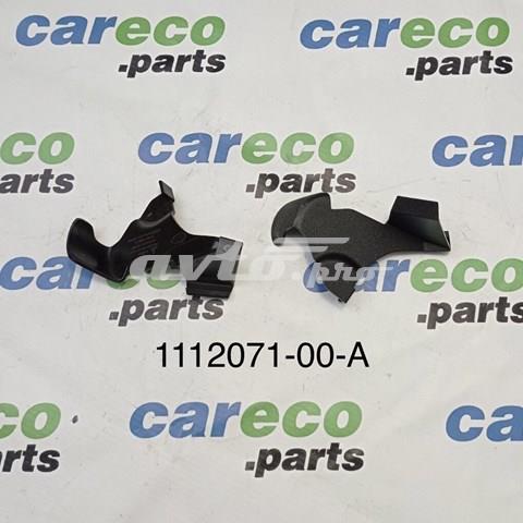 111207100A Tesla Motors 