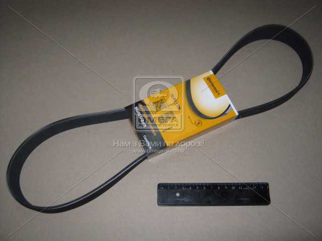 Клиновий ремінь Continental/Siemens 10PK1108 ціна, від 8.85 USD