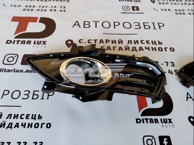 PFD99157KAR Signeda Заглушка протитуманок, ліва