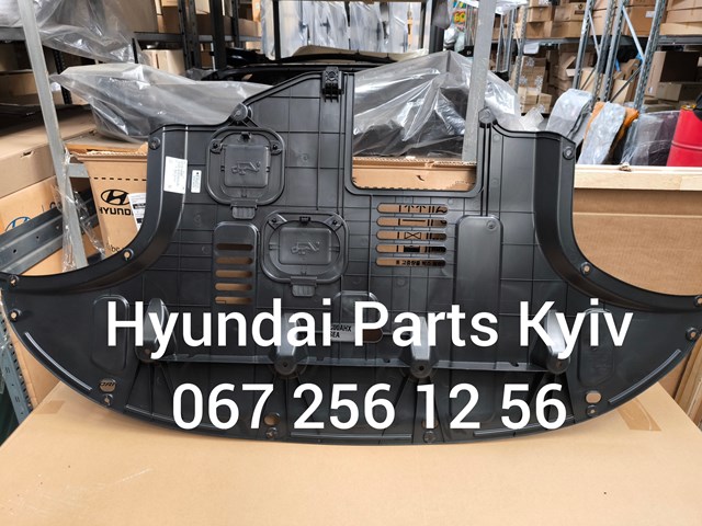 Купити 29110G4500 Hyundai/Kia Захист двигуна передній