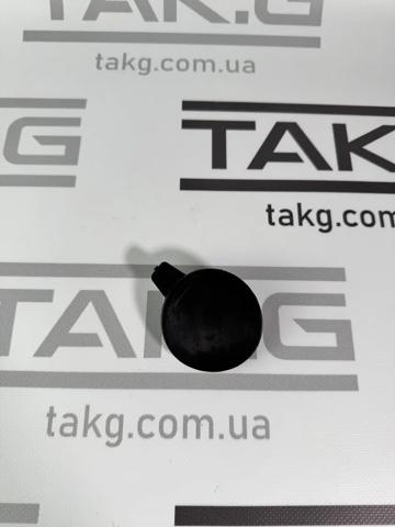 Купити 149374600A Tesla Заглушки буксирувального гака
