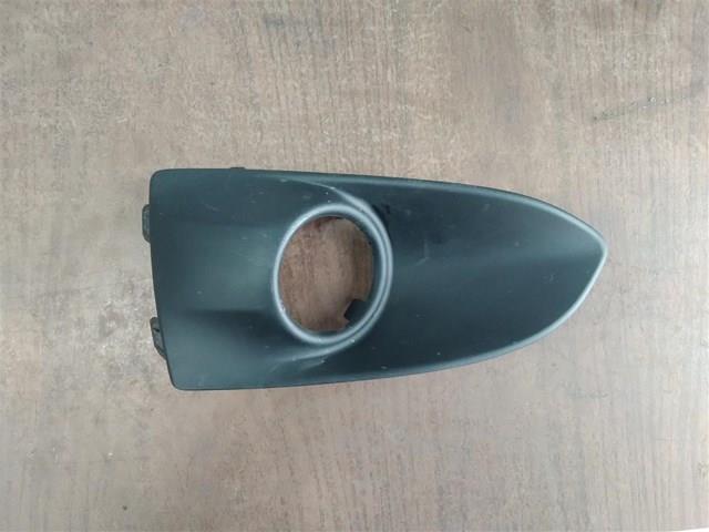 9816029880 Peugeot/Citroen 