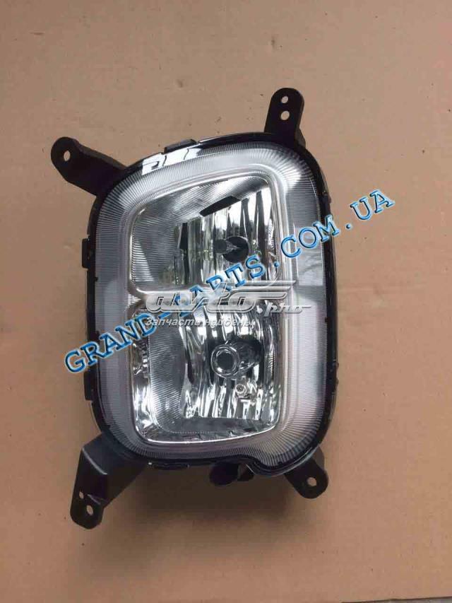 Туманка ліва Hyundai/Kia 922012P610 ціна, від 46.90 USD