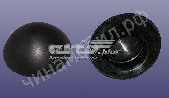 Купити A212901013 Chery 