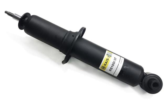 Амортизатор задній RS105807G Raiso