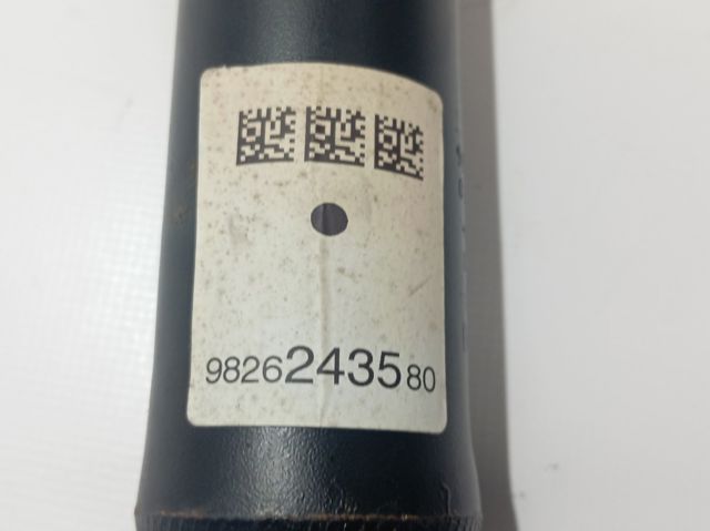 9826243580 Peugeot/Citroen Амортизатори задні