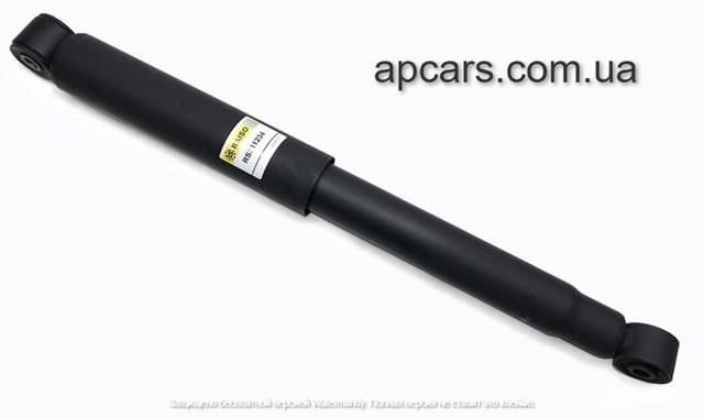 Амортизатори передні Raiso RS311234