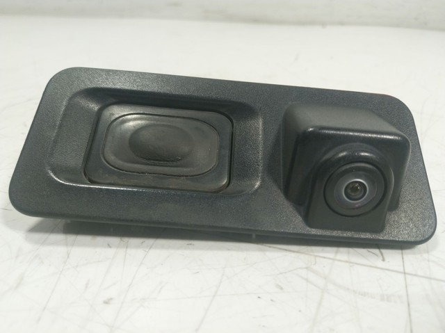 T4A15467 Jaguar 