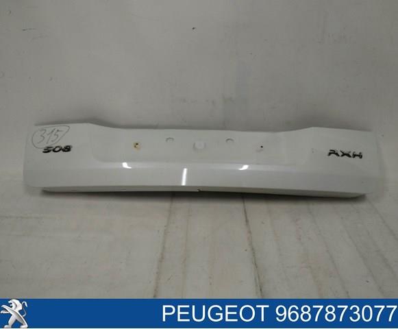  9687873077 Peugeot/Citroen