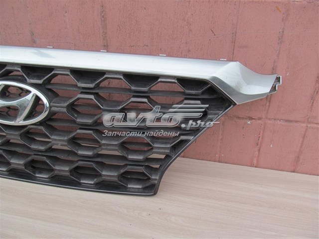 Облицювання радіатора Hyundai/Kia 86350S1100 ціна, від 113.26 USD
