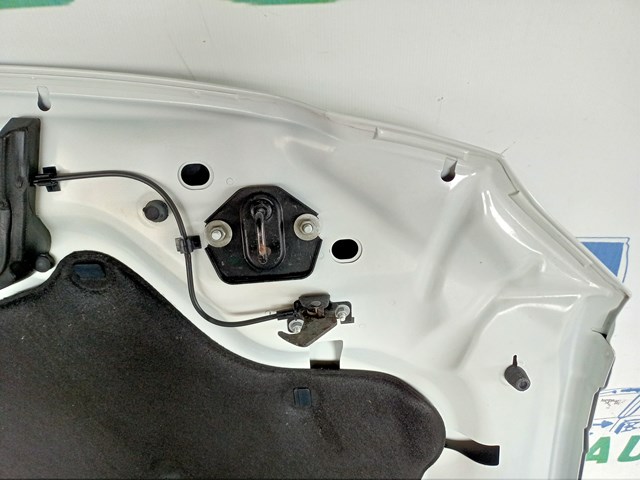 T2H4135 Jaguar Капот
