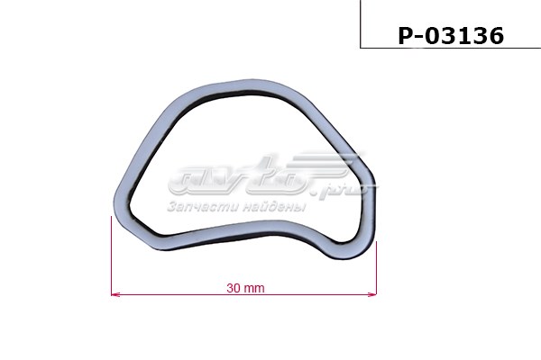  P03136 Emmetec