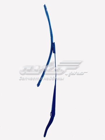 Купити 288810005R Renault (RVI) 