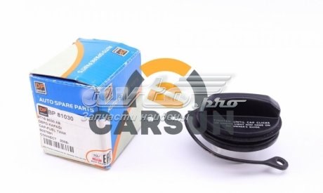  BP81030 DP Group