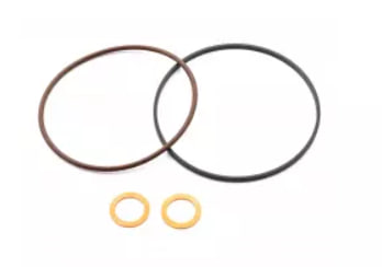  Klifex KL113617480361