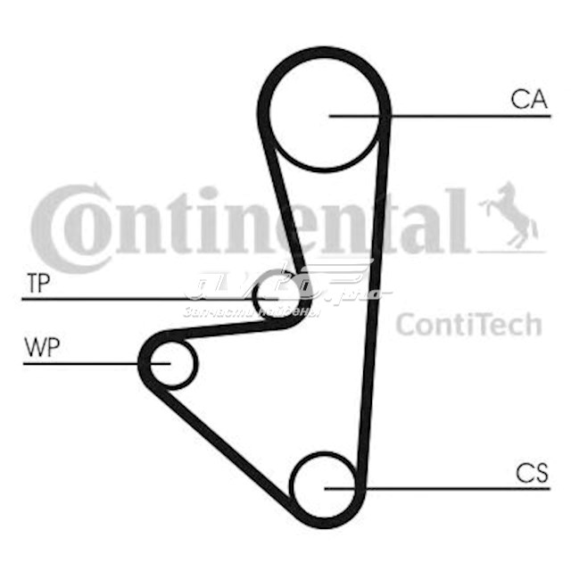 CT1067WP1 Continental/Siemens комплект грм