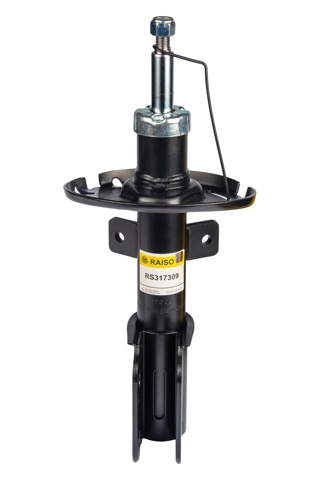 Стойка амортизатора передняя Raiso RS317309 ціна, від 44.00 USD