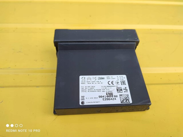  Peugeot/Citroen 9841539980