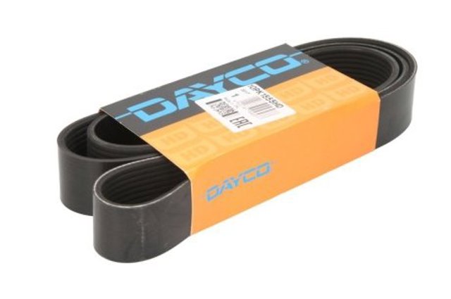  10PK1555HD Dayco