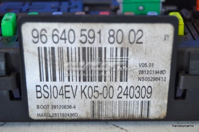 Купити 966405918002 Peugeot/Citroen 