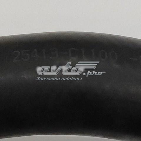 25413C1100 Hyundai/Kia 