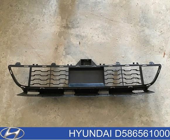 Купити D586561000 Hyundai/Kia 